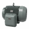 Motor Eléctrico Industrial de Servicio Severo 125 HP 1790 RPM North American Electric